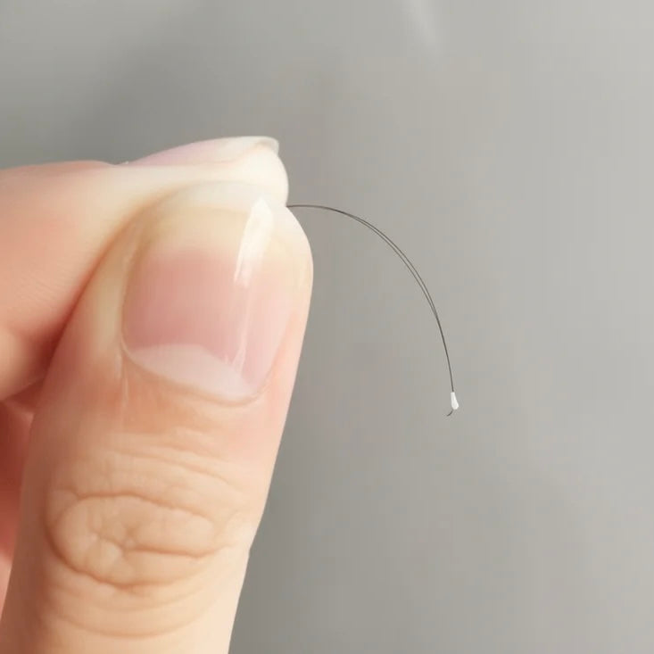 The "White Dot" Mystery!  What's that at the root of the fallen hair?